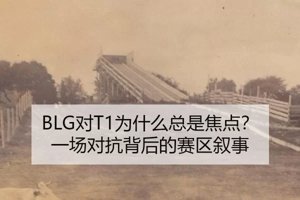 BLG对T1为什么总是焦点？一场对抗背后的赛区叙事